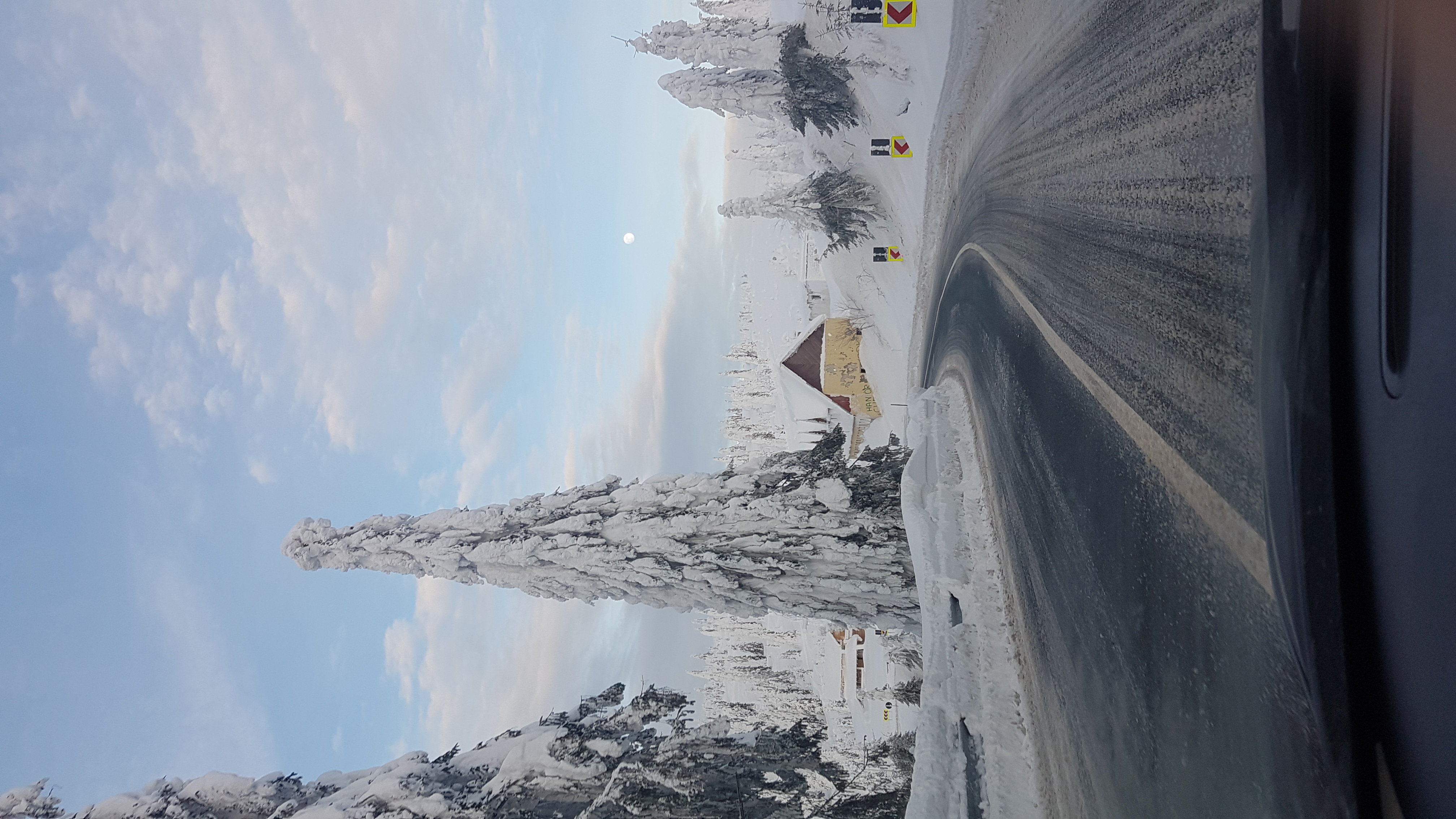 20190119_152846.jpg