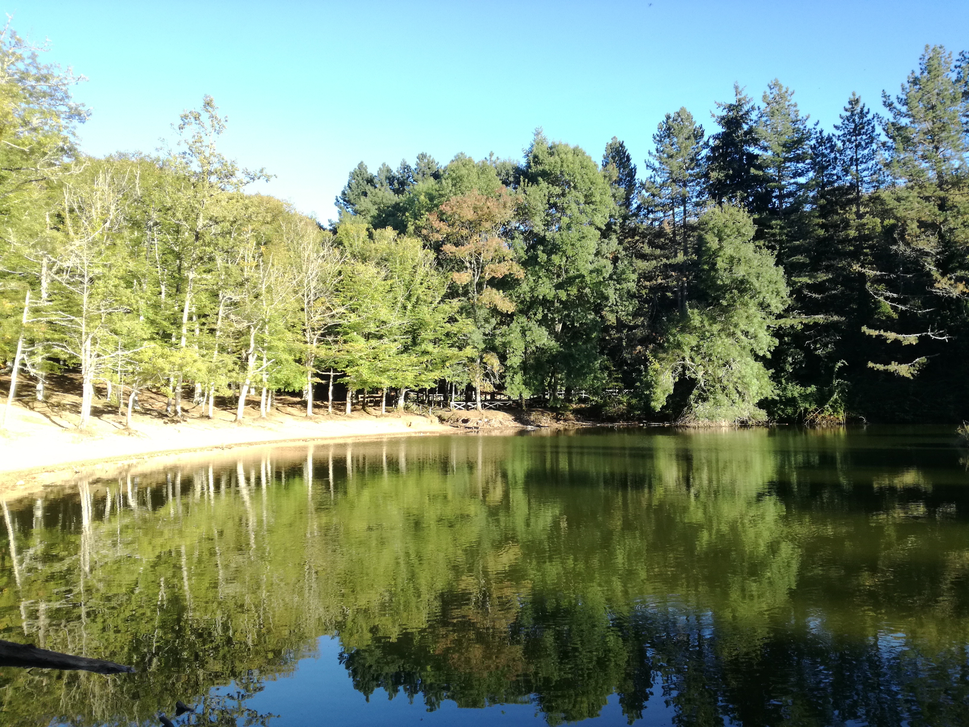 Laghetto foresta Umbra, Gargano