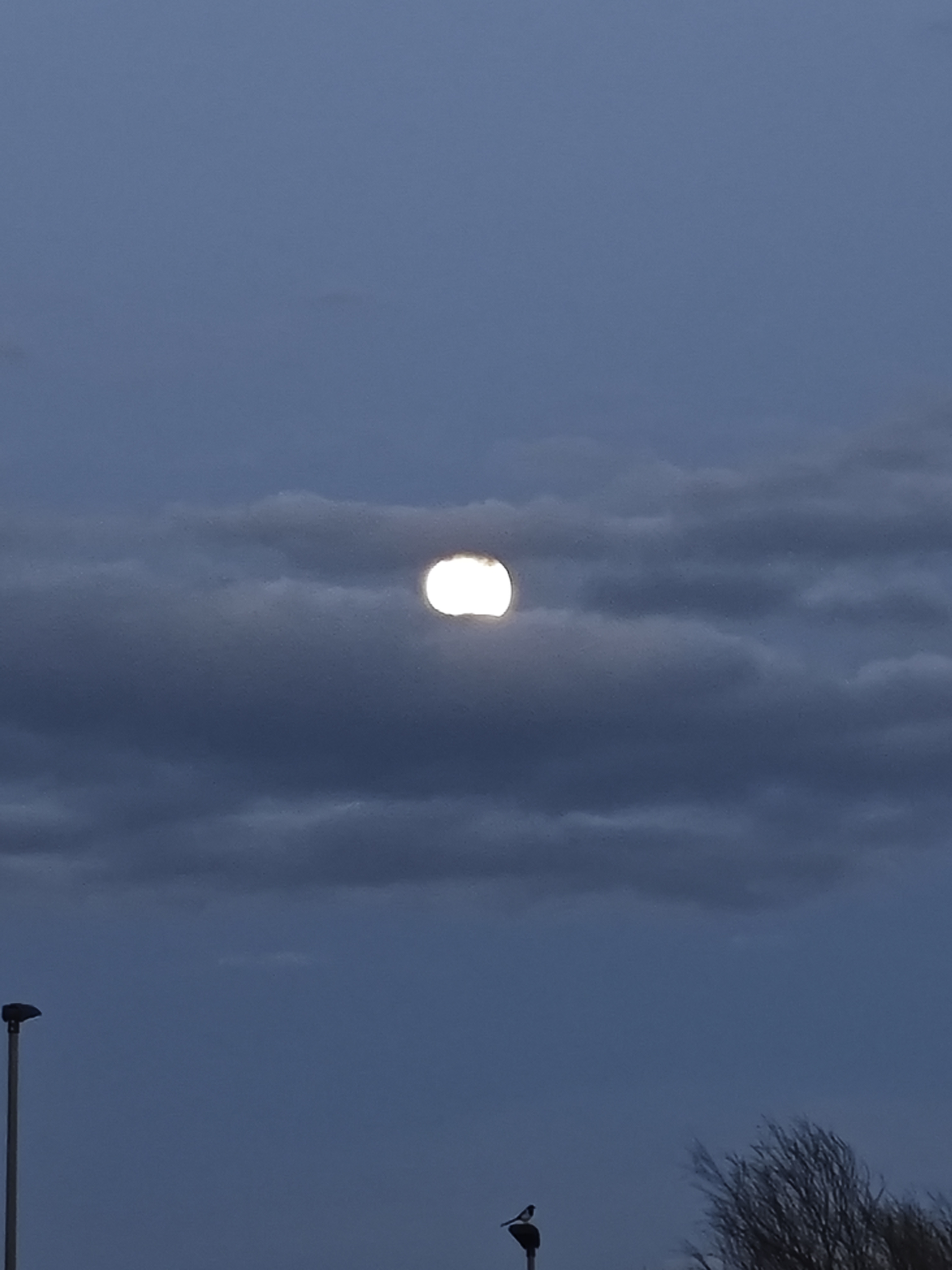 IMG_20250313_180744.jpg