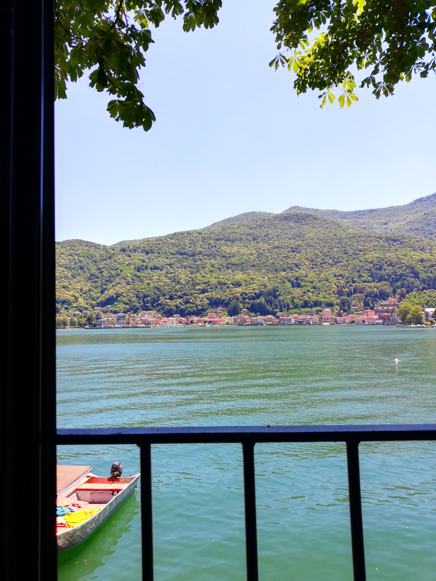 IMG_20190623_125921.jpg