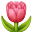 smile :s35010: